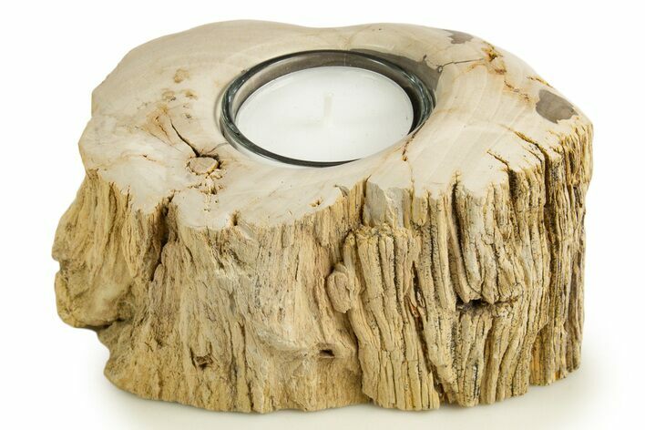 Polished Petrified Wood Candle Holder - Madagascar #337906